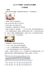 河南省郑州市第九中学2024-2025学年九年级上学期10月月考物理试题（原卷版）-A4