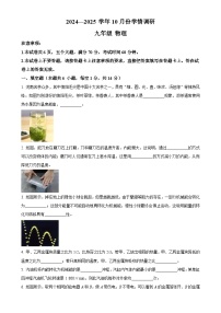 河南省洛阳市洛宁县2024-2025学年九年级上学期10月月考物理试题  （原卷版）-A4