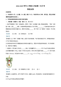 河南省新乡市原阳县2024-2025学年九年级上学期10月月考物理试题（解析版）-A4