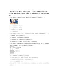2024～2025学年广东省广州中学九年级(上)月考物理试卷(11月份)(含解析)