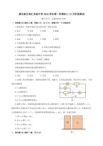 2024～2025学年上海市浦东新区南汇实验中学九年级(上)12月物理试卷(学生版+教师版)