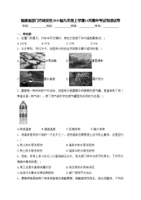 福建省厦门市同安区2025届九年级上学期11月期中考试物理试卷(含答案)