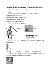江苏省泰州市泰兴市2025届九年级上学期11月期中考试物理试卷(含答案)