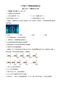 广东省珠海市凤凰中学2024-2025学年八年级上学期第一次月考物理试题（原卷版）-A4