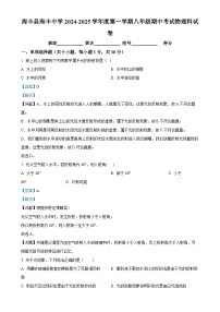 广东省汕尾市海丰县海丰中学2024-2025学年八年级上学期期中考试物理试题（解析版）-A4