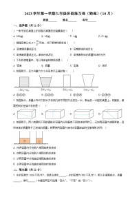 上海市浦东模范中学2023-2024学年九年级上学期第一次月考（10月）物理试题（原卷版）-A4