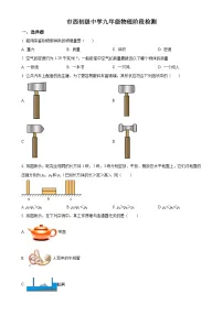上海市市西初级中学2024-2025学年九年级上学期9月月考物理试题（原卷版）-A4
