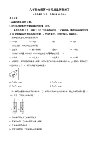 上海市梅陇中学2024-2025学年九年级上学期9月月考物理试题（原卷版）-A4