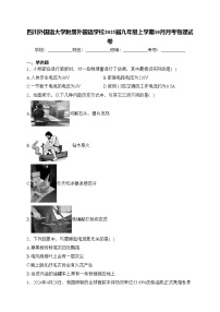 四川外国语大学附属外国语学校2025届九年级上学期10月月考物理试卷(含答案)