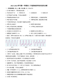 北京市通州区运河中学2023-2024学年八年级上学期10月月考物理试题（原卷版）-A4