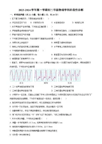 北京市通州区运河中学2023-2024学年八年级上学期10月月考物理试题（原卷版）-A4
