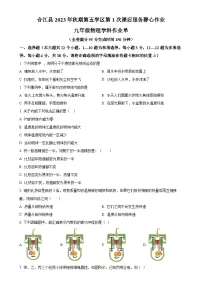 四川省泸州市合江县第五片区2023-2024学年九年级上学期第一次月考物理试题（原卷版）-A4