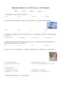 陕西省咸阳市秦都区2023-2024学年九年级(上)11月期中物理试卷(含解析)