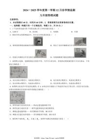 2024～2025学年山东省济宁市金乡县九年级(上)12月月考物理试卷(无答案)