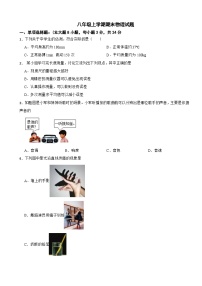 广东省惠州市2024年八年级上学期期末物理试题【含参考答案】