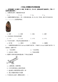 广西壮族自治区玉林地区2024年八年级上学期期末考试物理试题【含参考答案】