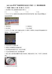 精品解析：广东省深圳市宝安区2023-2024学年八年级上学期期末物理试题（原卷版）