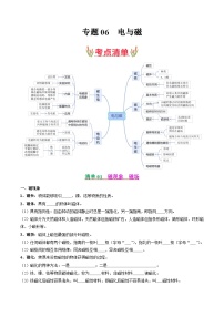 考点清单06 电与磁【14题型】-2024-2025学年九年级上册物理期末考点突破（人教版）