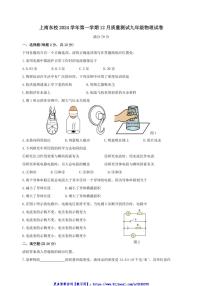 2024～2025学年上海市浦东新区上南中学东校九年级(上)12月月考物理试卷(教师版+学生版)