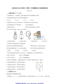 2024～2025学年上海市浦东新区上南中学东校九年级(上)12月月考物理试卷(教师版+学生版)