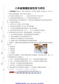 2024～2025学年江苏省镇江市丹徒区镇江市宜城中学集团八年级(上)12月月考物理试卷(无答案)