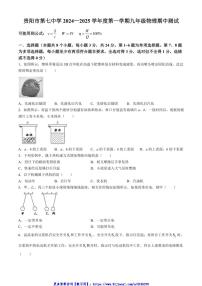 2024～2025学年贵州省贵阳市第七中学九年级(上)期中测试物理试卷(无答案)