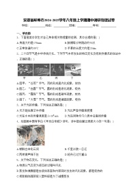 安徽省蚌埠市2024-2025学年八年级上学期期中调研物理试卷(含答案)