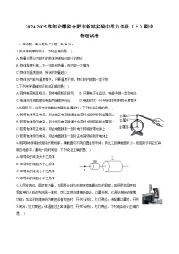 2024-2025学年安徽省合肥市新站实验中学九年级（上）期中物理试卷（含答案）