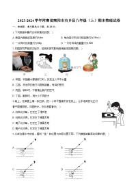 2023-2024学年河南省南阳市内乡县八年级（上）期末物理试卷（含答案）