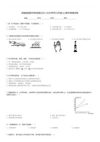 湖南省邵阳市新邵县2023-2024学年九年级(上)期中物理试卷(含解析)