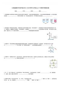 江西省赣州市信丰县2023-2024学年九年级(上)11月期中物理试卷(含解析)