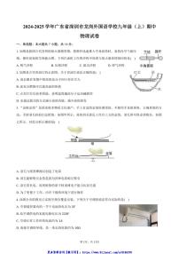 2024～2025学年广东省深圳市龙岗外国语学校九年级(上)期中物理试卷(含答案)