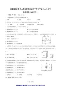 2024～2025学年上海市普陀区进华中学九年级(上)月考物理试卷(12月份)(含答案)