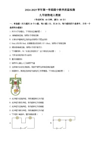 精品解析：河北省沧州市南皮县桂和中学2024-2025学年九年级上学期11月期中物理试题（原卷版）-A4