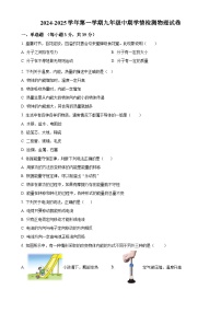 河北省石家庄第九中学2024—2025学年九年级上学期期中物理试题（原卷版）-A4