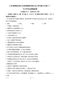 江苏省南通市海门区东洲国际学校2024-2025学年九年级上学期11月月考物理试题（原卷版）-A4