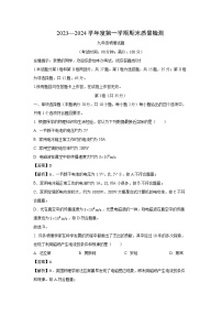 山东省青岛市城阳区2023-2024学年九年级(上)1月期末物理试卷(解析版)