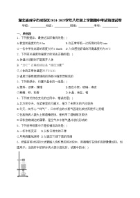 湖北省咸宁市咸安区2024-2025学年八年级上学期期中考试物理试卷(含答案)