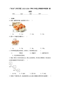 广东省广州市天河区2023-2024学年八年级上学期期末考试物理试题（含答案）