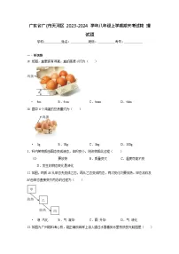 广东省广州市天河区2023-2024学年八年级上学期期末考试物理试题（含答案）