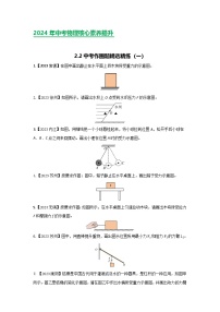 2024年中考物理核心素养提升(全国通用)2.1作图练习(一)原卷版+解析