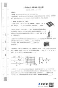 河南省新乡市新乡县河南师范大学附属外国语学校2024-2025学年九年级上学期12月月考物理试题