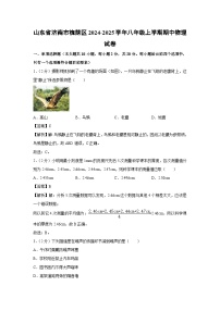 2024~2025学年山东省济南市槐荫区八年级(上)期中物理物理试卷