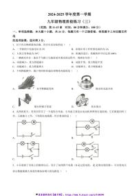 2024～2025学年广东省茂名电白区九年级(上)物理第三次月测试卷(含答案)