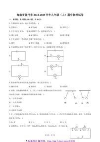 2024～2025学年海南省儋州市九年级(上)期中物理试卷(含答案)