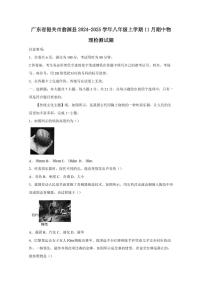 广东省韶关市翁源县2024-2025学年八年级上学期11月期中物理检测试题（含答案）