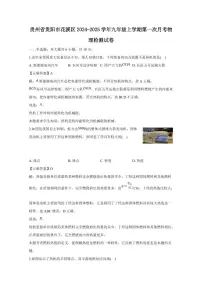 贵州省贵阳市花溪区2024-2025学年九年级上学期第一次月考物理检测试卷（含答案）