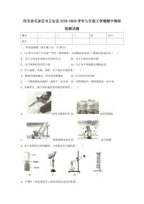 河北省石家庄市正定县2024-2025学年九年级上学期期中物理检测试题（含答案）