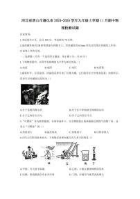 河北省唐山市遵化市2024-2025学年九年级上学期11月期中物理检测试题（含答案）