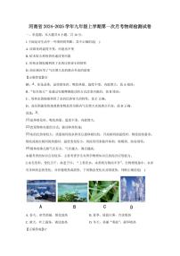 河南省2024-2025学年九年级上学期第一次月考物理检测试卷（含答案）